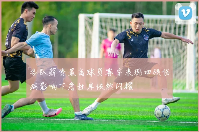 各队薪资最高球员赛季表现回顾伤病影响下詹杜库依然闪耀